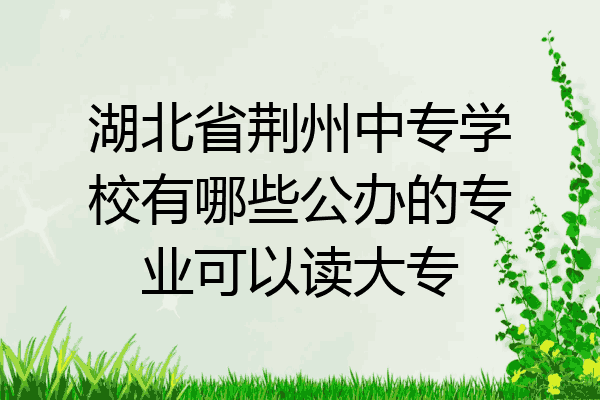 湖北省荆州中专学校有哪些公办的专业可以读大专