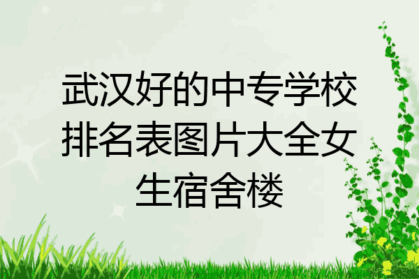 武汉好的中专学校排名表图片大全女生宿舍楼