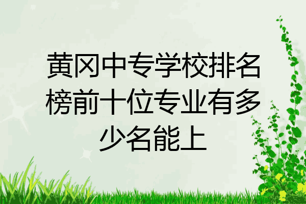 黄冈中专学校排名榜前十位专业有多少名能上