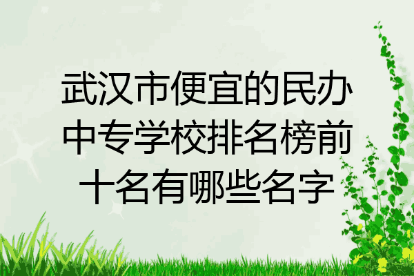 武汉市便宜的民办中专学校排名榜前十名有哪些名字