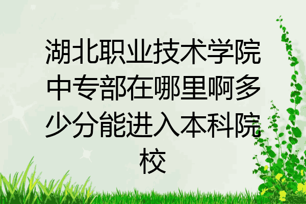湖北职业技术学院中专部在哪里啊多少分能进入本科院校