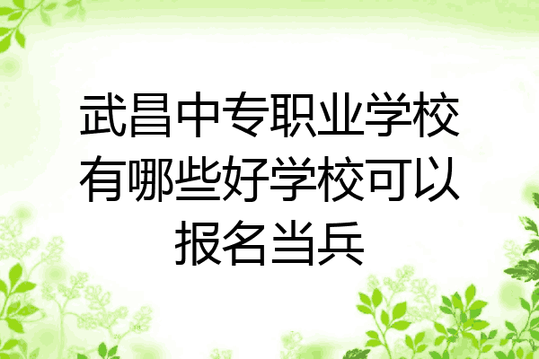 武昌中专职业学校有哪些好学校可以报名当兵