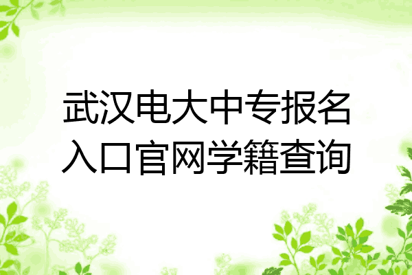 武汉电大中专报名入口官网学籍查询