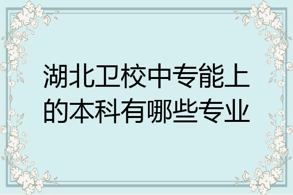 湖北卫校中专能上的本科有哪些专业