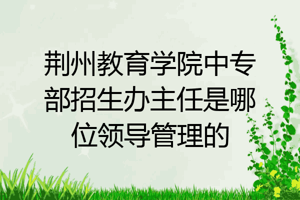 荆州教育学院中专部招生办主任是哪位领导管理的