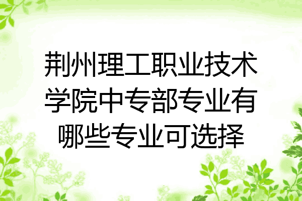 荆州理工职业技术学院中专部专业有哪些专业可选择