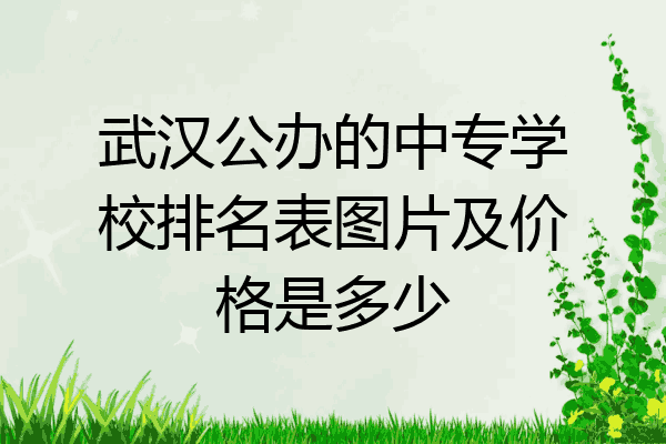 武汉公办的中专学校排名表图片及价格是多少