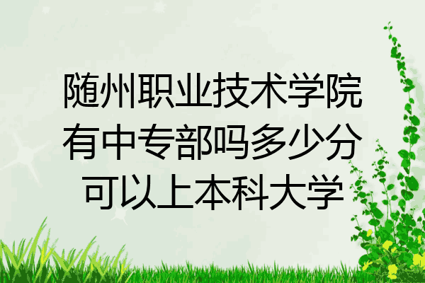 随州职业技术学院有中专部吗多少分可以上本科大学