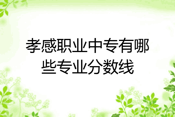 孝感职业中专有哪些专业分数线