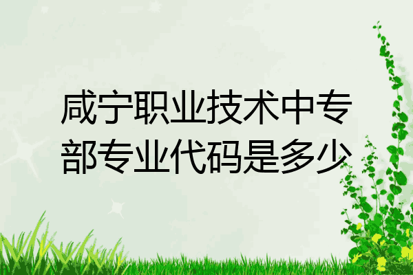 咸宁职业技术中专部专业代码是多少