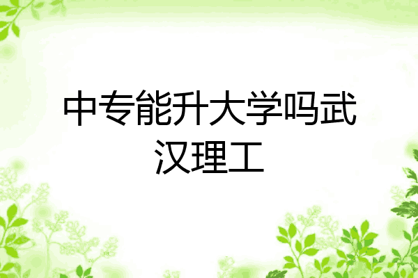 中专能升大学吗武汉理工