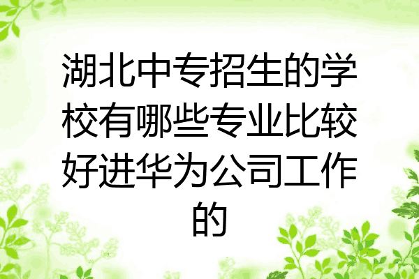 湖北中专招生的学校有哪些专业比较好进华为公司工作的