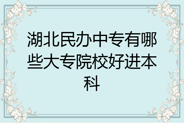 湖北民办中专有哪些大专院校好进本科