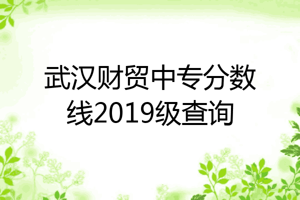 武汉财贸中专分数线2019级查询