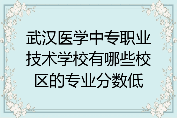 武汉医学中专职业技术学校有哪些校区的专业分数低