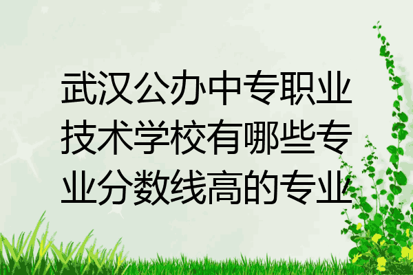 武汉公办中专职业技术学校有哪些专业分数线高的专业