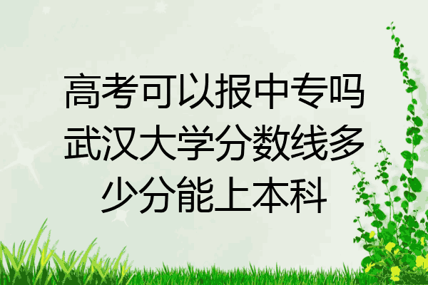 高考可以报中专吗武汉大学分数线多少分能上本科