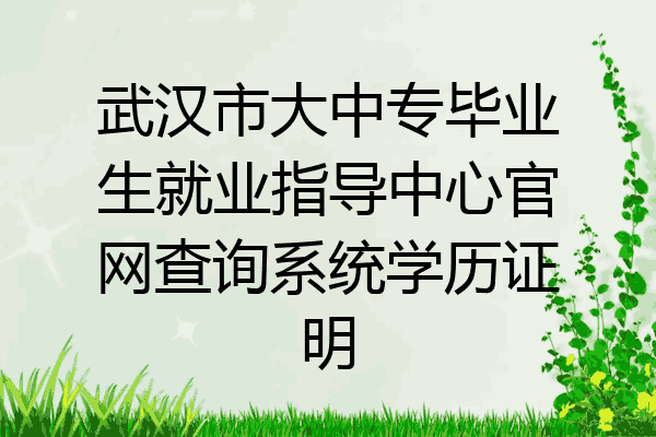 武汉市大中专毕业生就业指导中心官网查询系统学历证明