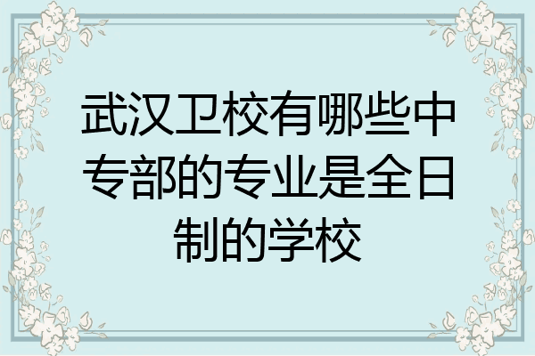 武汉卫校有哪些中专部的专业是全日制的学校