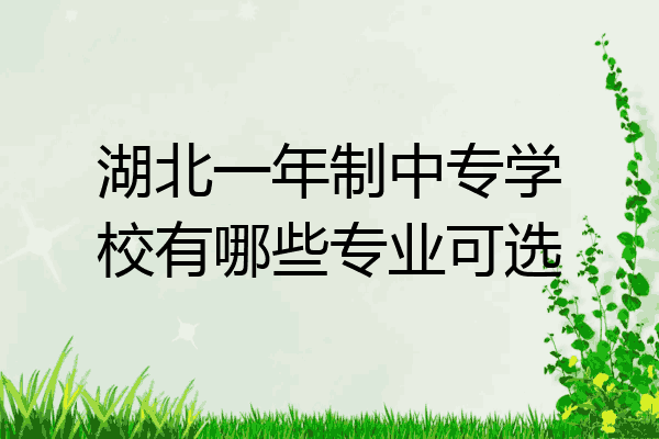 湖北一年制中专学校有哪些专业可选