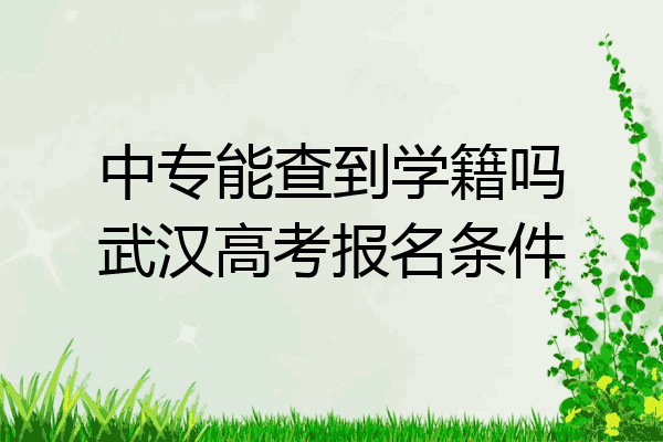 中专能查到学籍吗武汉高考报名条件