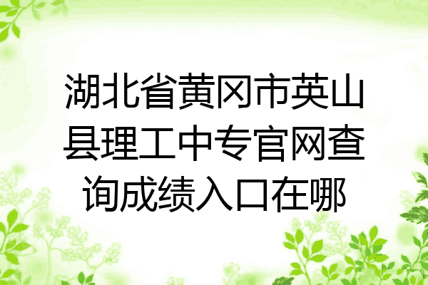 湖北省黄冈市英山县理工中专官网查询成绩入口在哪