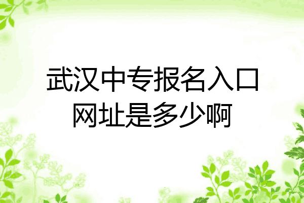 武汉中专报名入口网址是多少啊