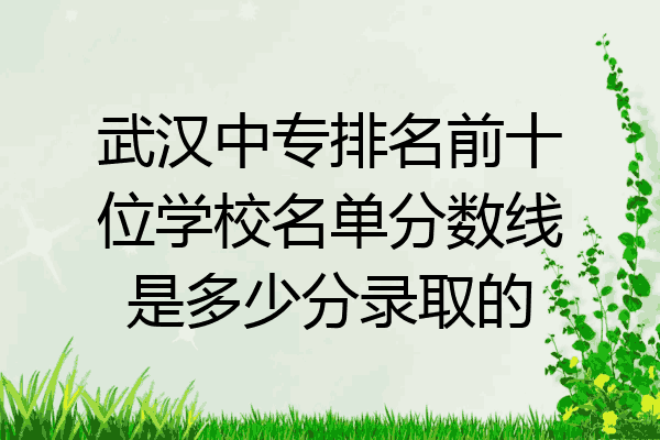 武汉中专排名前十位学校名单分数线是多少分录取的