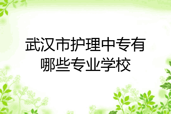 武汉市护理中专有哪些专业学校