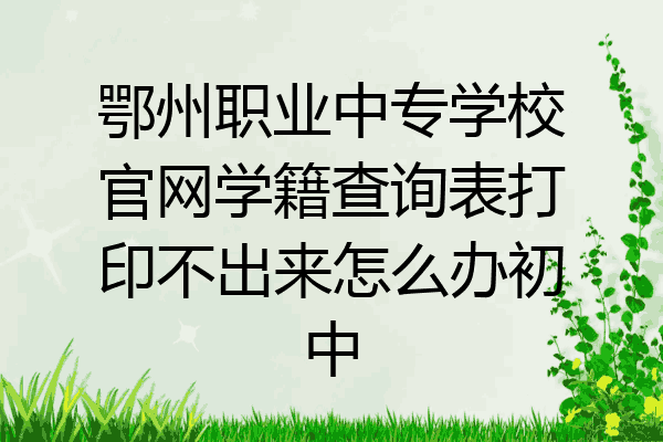 鄂州职业中专学校官网学籍查询表打印不出来怎么办初中