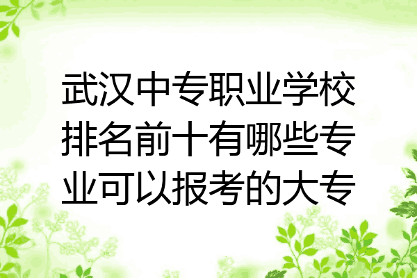 武汉中专职业学校排名前十有哪些专业可以报考的大专
