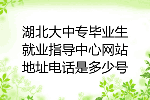 湖北大中专毕业生就业指导中心网站地址电话是多少号
