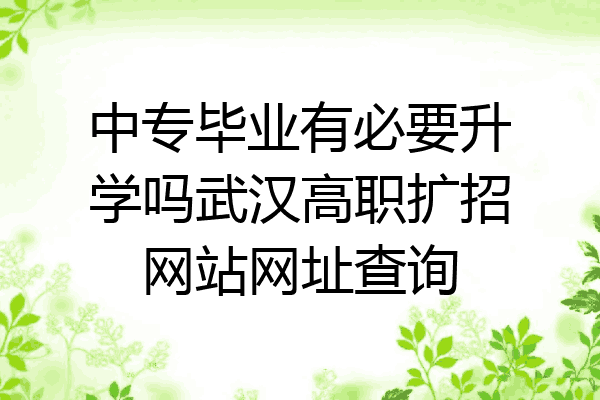 中专毕业有必要升学吗武汉高职扩招网站网址查询