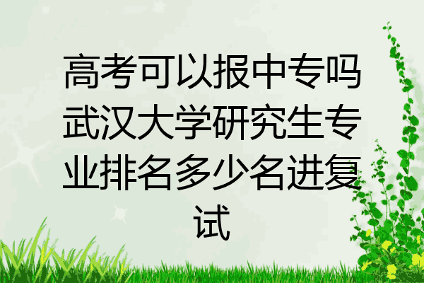 高考可以报中专吗武汉大学研究生专业排名多少名进复试