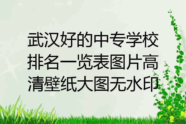 武汉好的中专学校排名一览表图片高清壁纸大图无水印