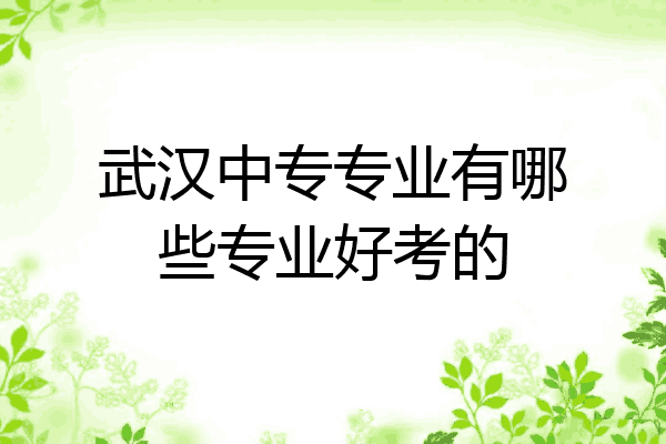 武汉中专专业有哪些专业好考的
