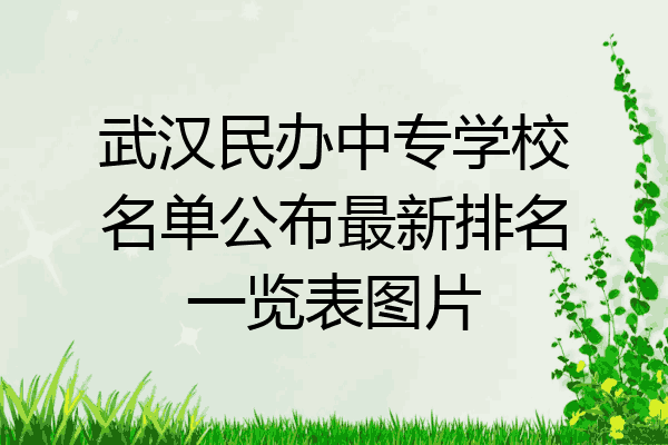 武汉民办中专学校名单公布最新排名一览表图片