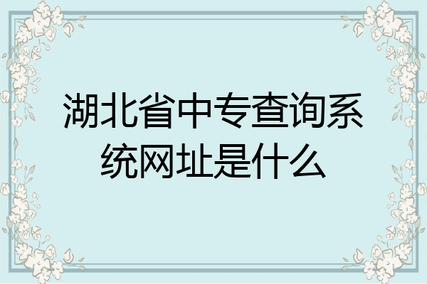 湖北省中专查询系统网址是什么