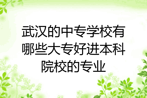 武汉的中专学校有哪些大专好进本科院校的专业