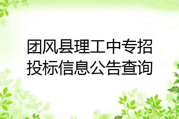 团风县理工中专招投标信息公告查询