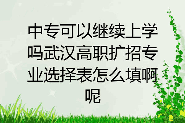 中专可以继续上学吗武汉高职扩招专业选择表怎么填啊呢