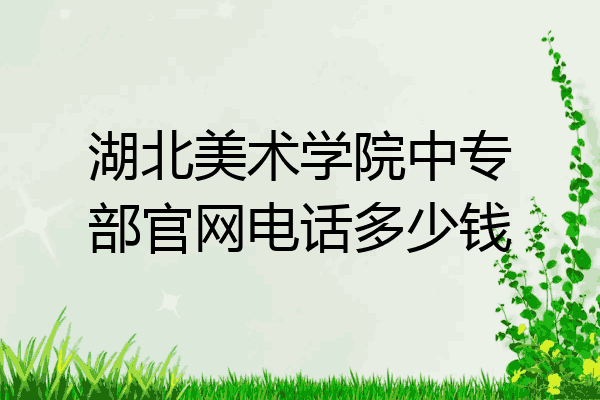 湖北美术学院中专部官网电话多少钱