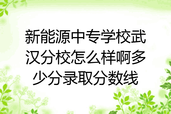 新能源中专学校武汉分校怎么样啊多少分录取分数线