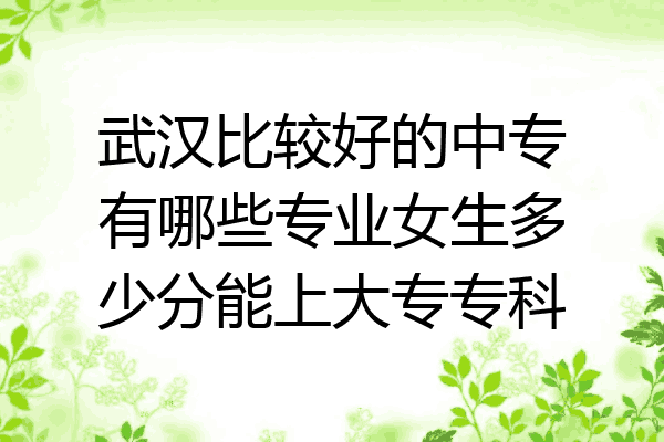 武汉比较好的中专有哪些专业女生多少分能上大专专科
