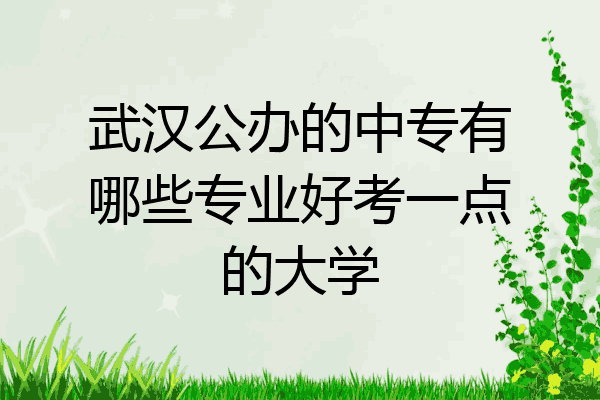 武汉公办的中专有哪些专业好考一点的大学