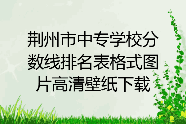 荆州市中专学校分数线排名表格式图片高清壁纸下载