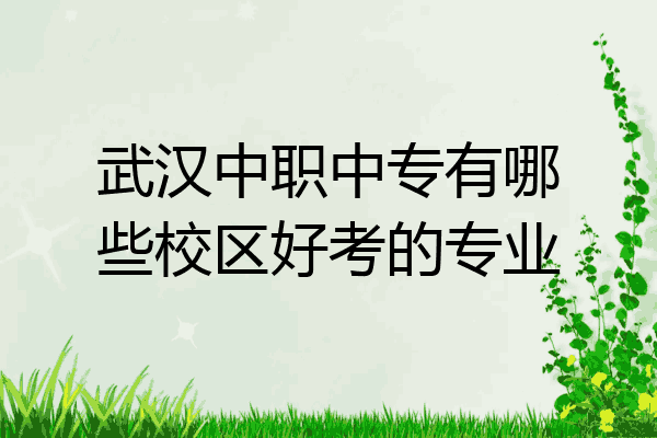 武汉中职中专有哪些校区好考的专业