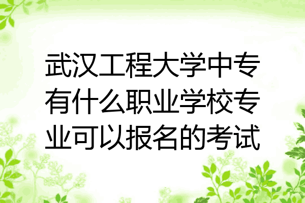 武汉工程大学中专有什么职业学校专业可以报名的考试