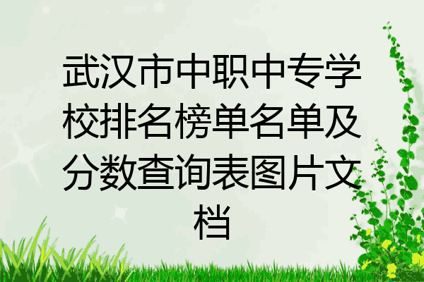 武汉市中职中专学校排名榜单名单及分数查询表图片文档