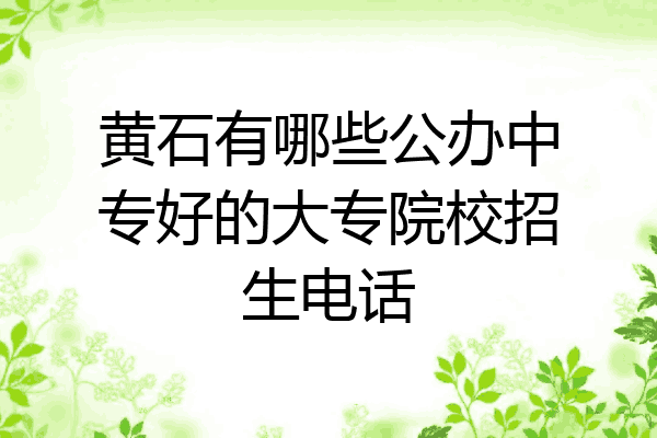 黄石有哪些公办中专好的大专院校招生电话